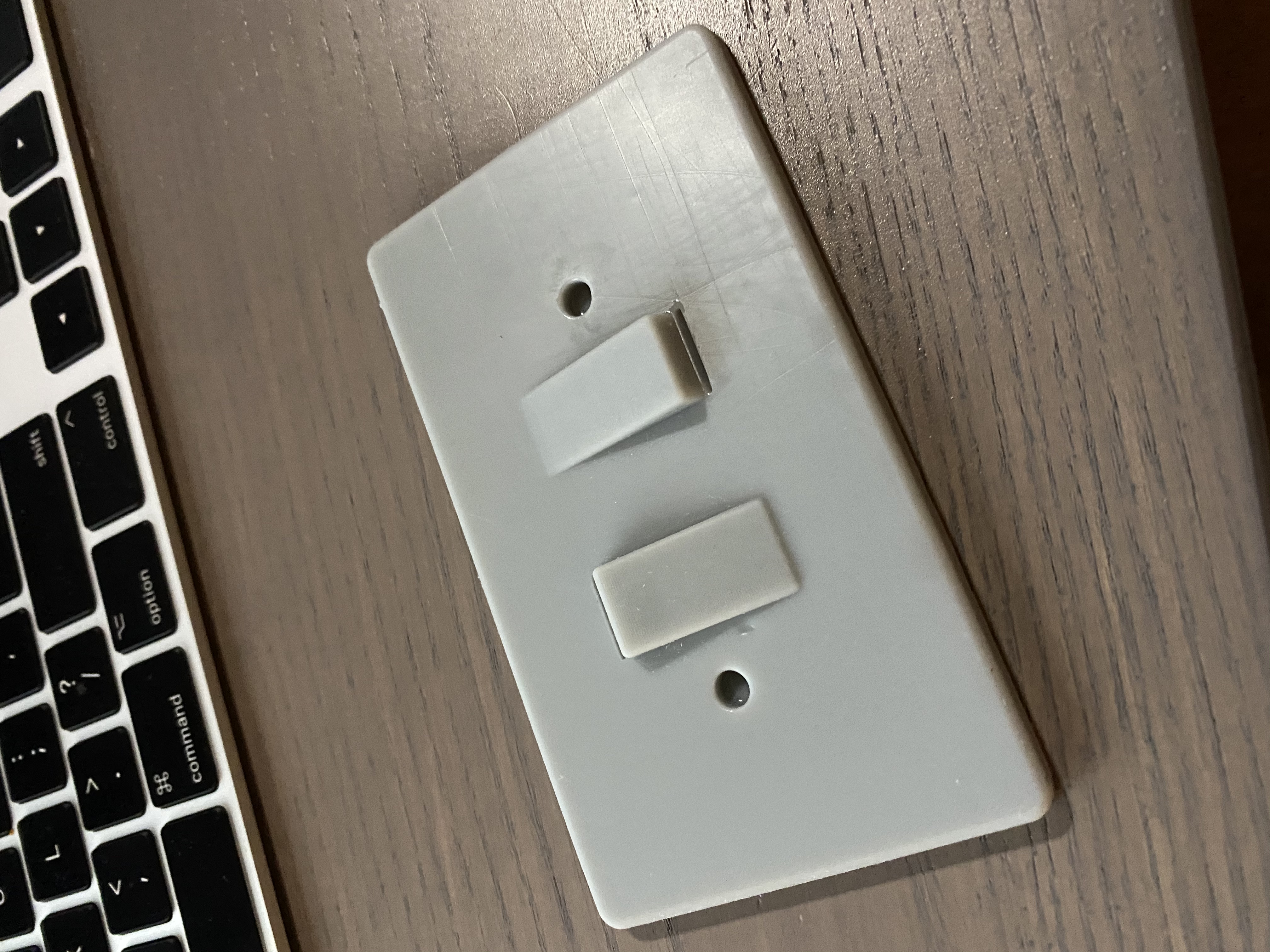 For All Mankind Switchplate